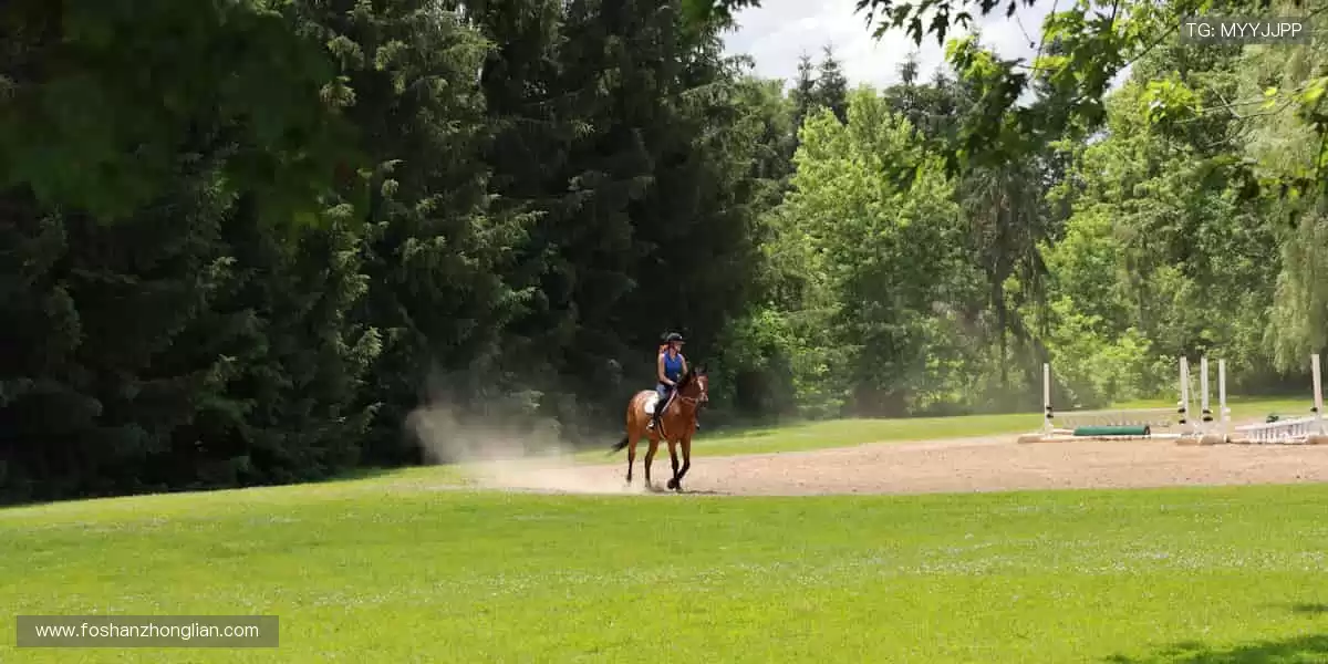 📱手机、平板、电脑无缝切换,精彩从不掉线!📡